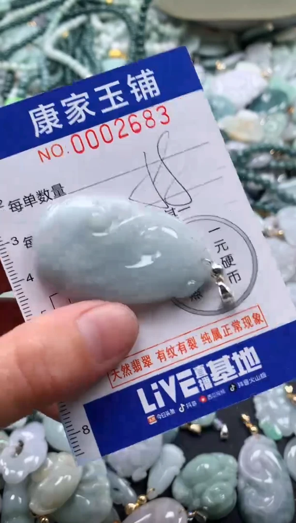 颈饰未镶嵌翡翠2683
