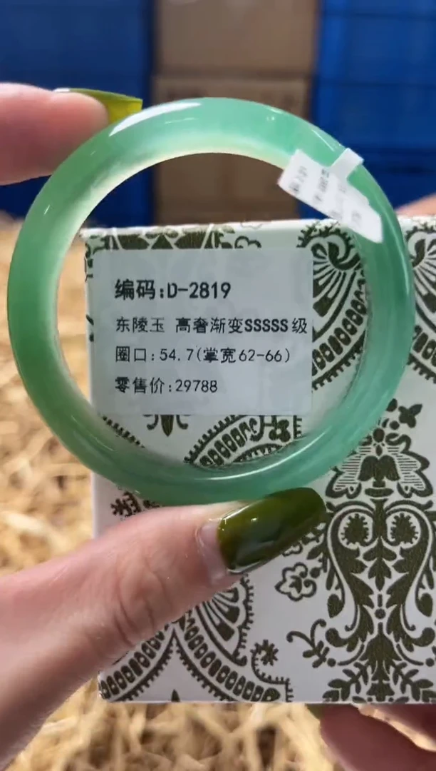 未镶嵌手镯石英质玉D2819
