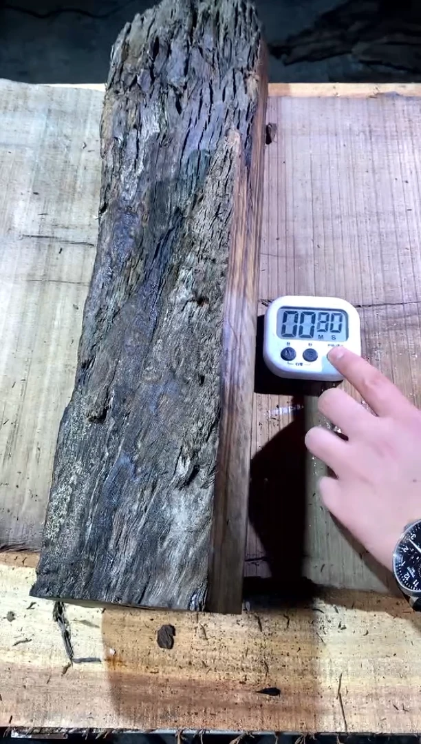 秋***枫金丝楠木小叶桢楠
