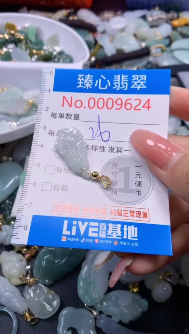 翡翠未镶嵌颈饰9624