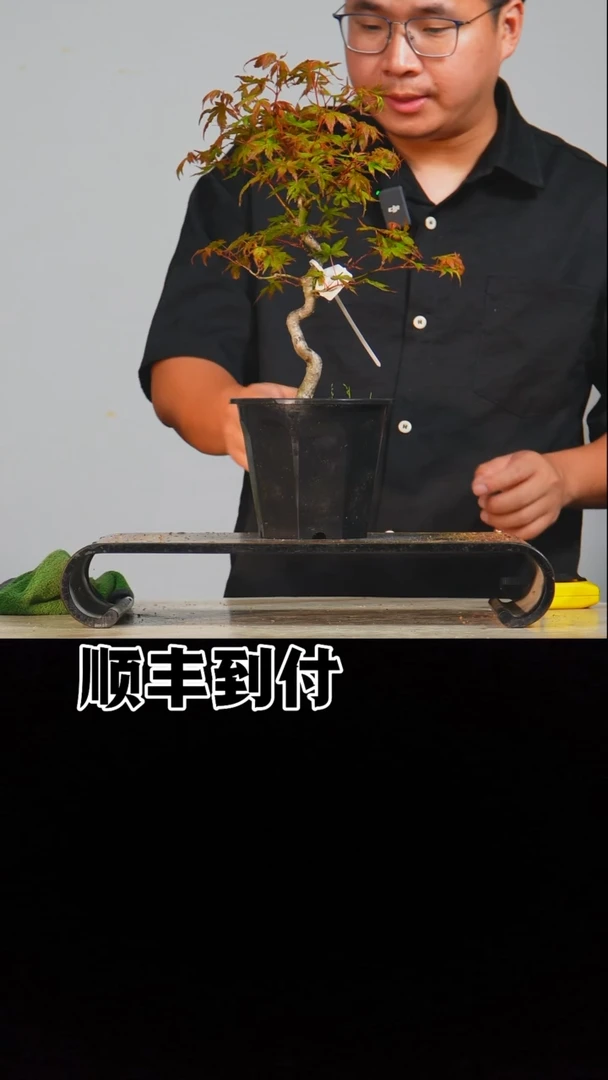 无花朵v598山红叶bnubaoyou