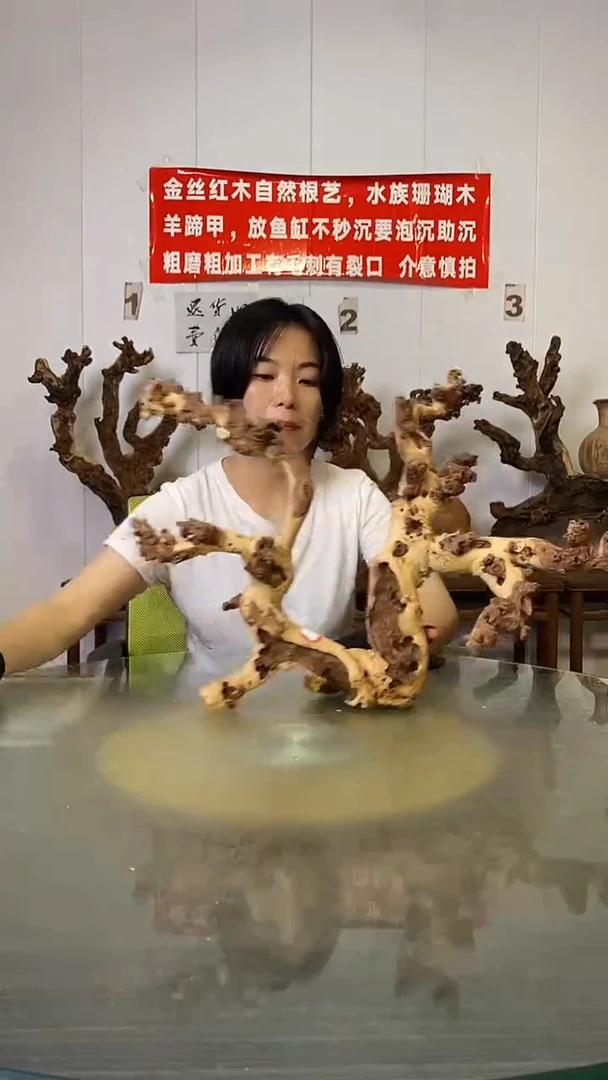 香榧木高*杰金丝红木   羊蹄甲