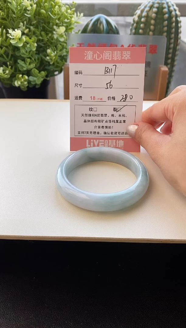 未镶嵌手镯翡翠56圈口编码B117