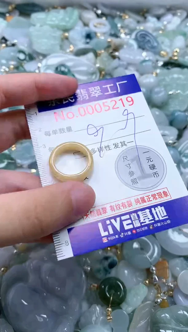 翡翠未镶嵌吊坠(不含链)5219