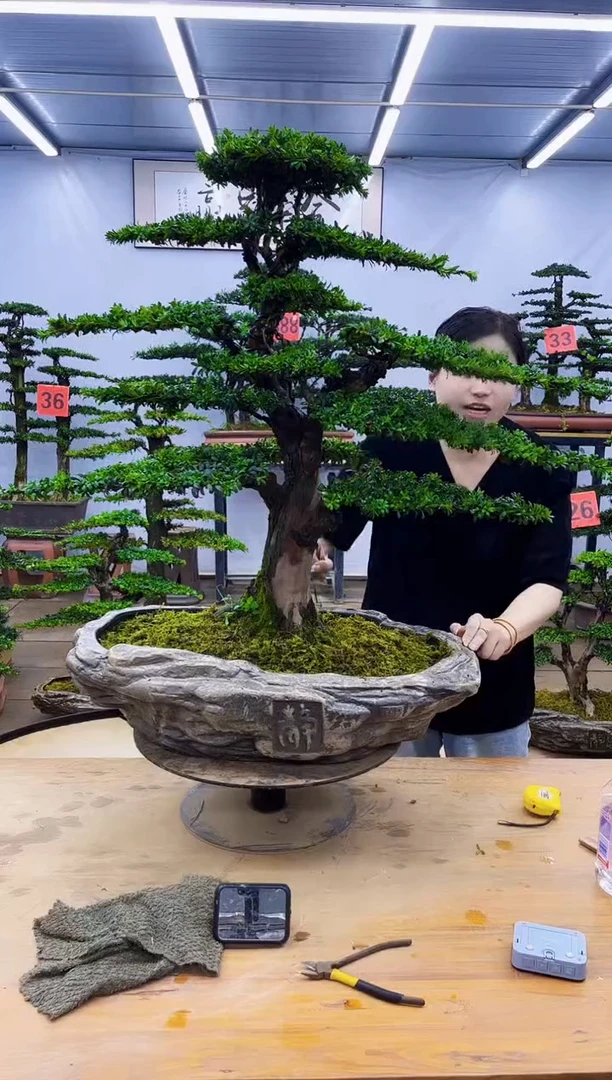 无花朵一物一拍，所见即所得