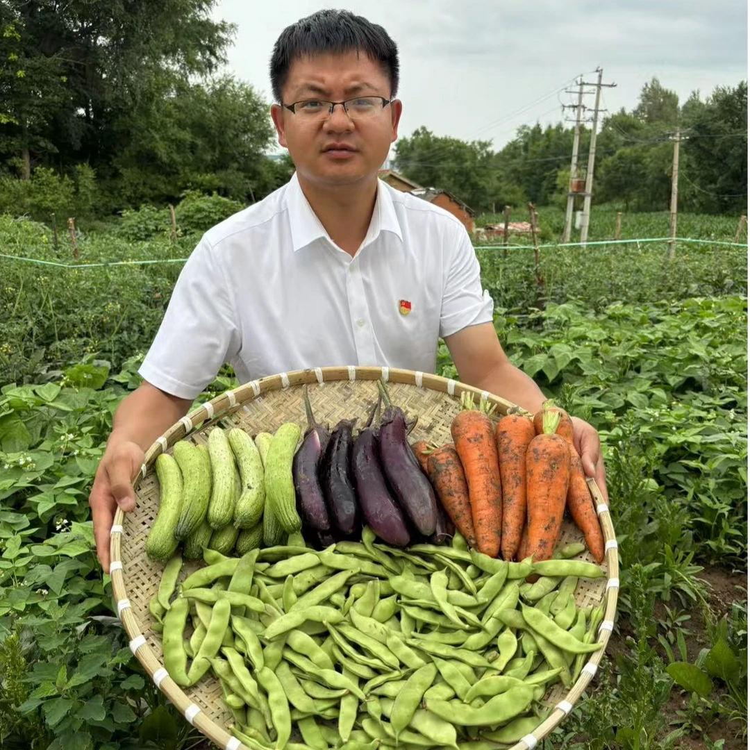 【小园菜组合-豆角茄子黄瓜胡萝卜】东北农家肥自种自吃新鲜