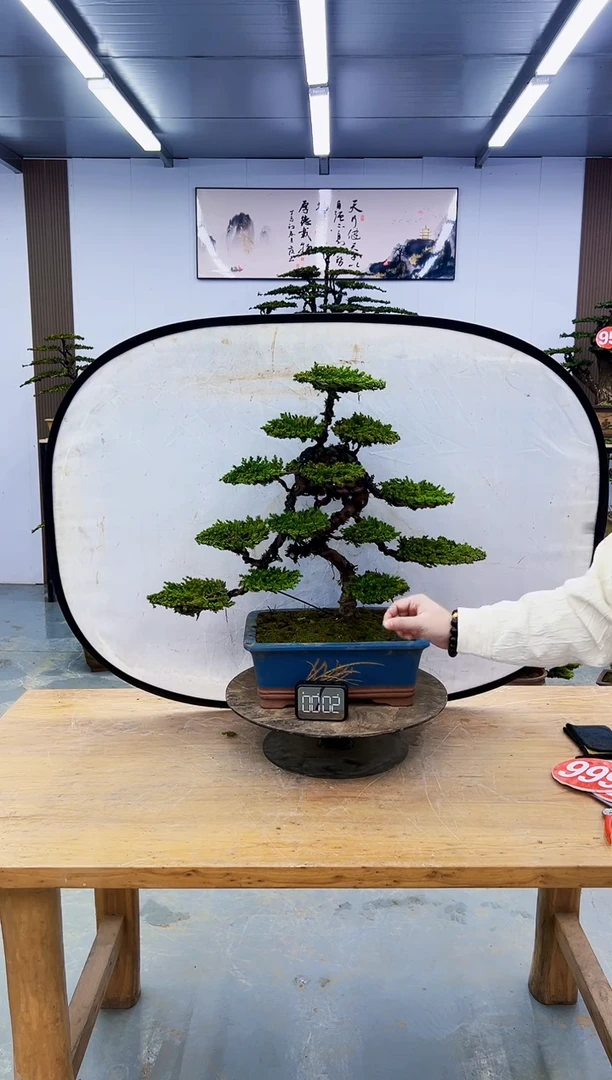 以实际为准0000000000