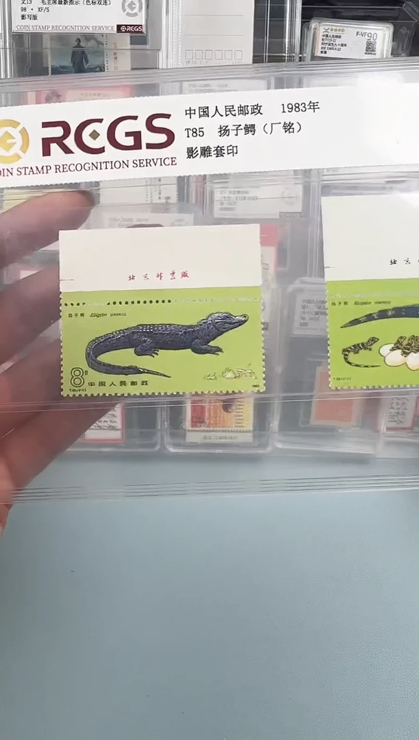 T85扬子鳄上厂铭全套评级98