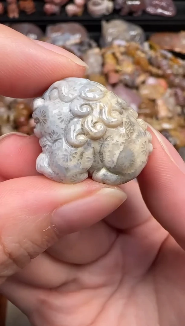 颈饰未镶嵌硅化珊瑚（珊瑚玉）477