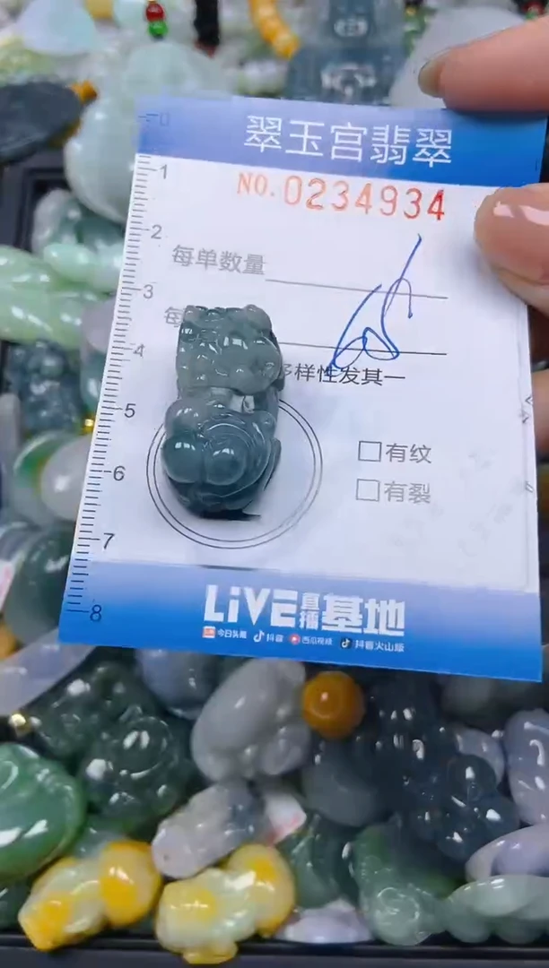 颈饰未镶嵌翡翠闪购C0234934