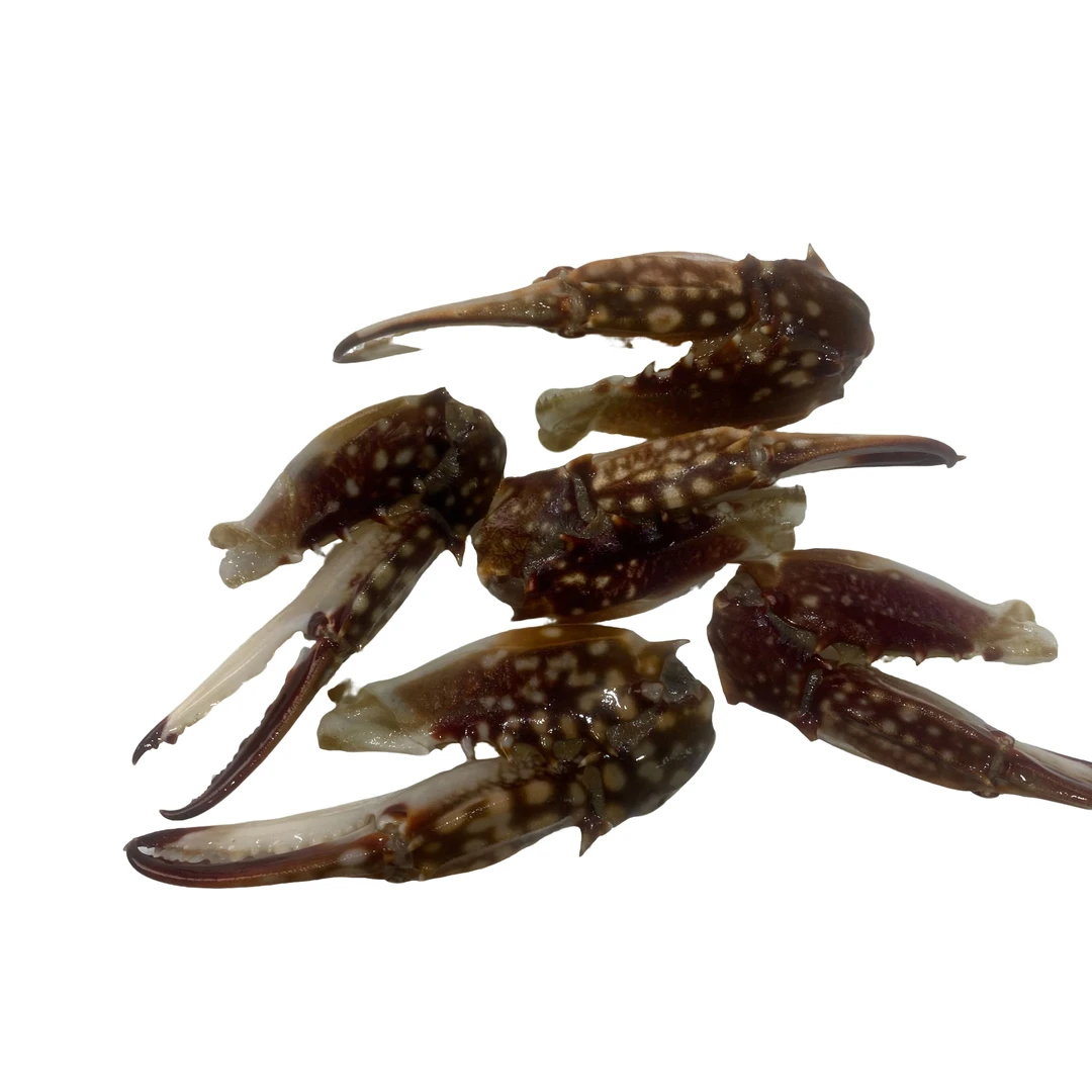 【新鲜梭子蟹脚】上街弟推荐 肉质鲜甜肥美福州发货1500g