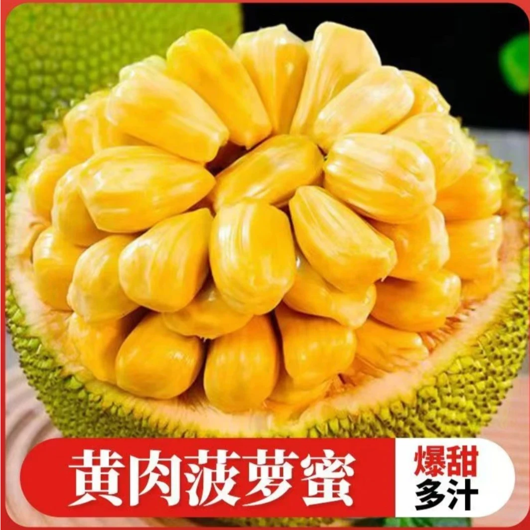 果切【同城配送】越南黄肉菠萝蜜(约6000g)/个