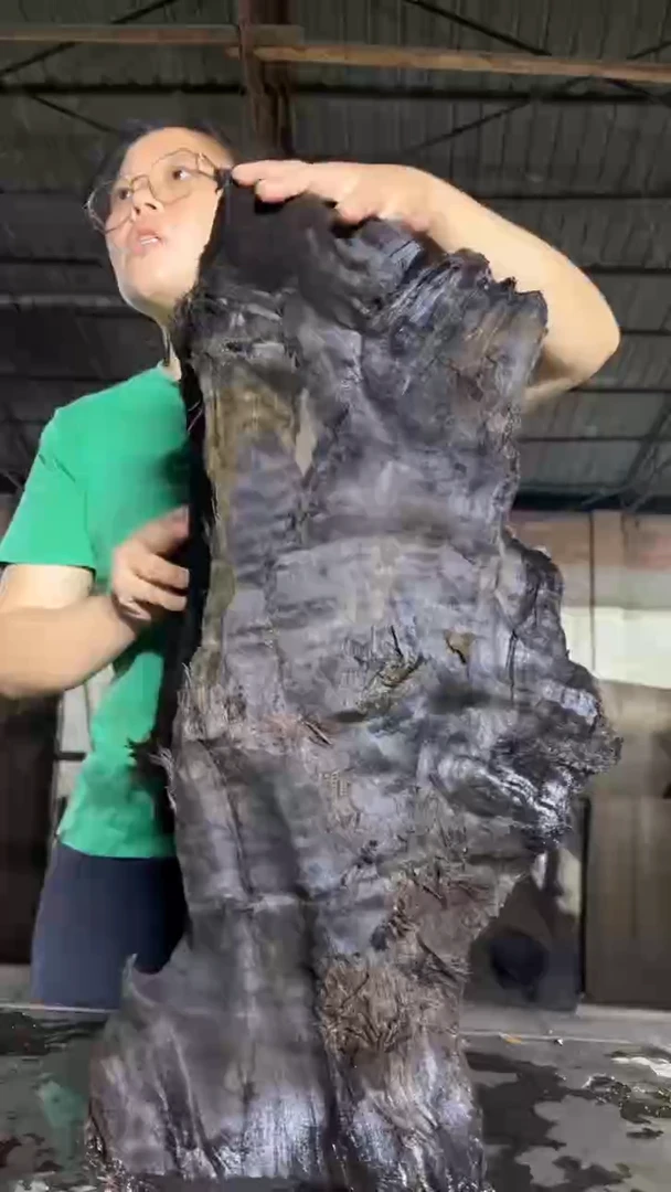 金丝楠29金丝楠小叶桢楠