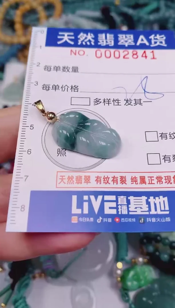 颈饰未镶嵌翡翠00002841