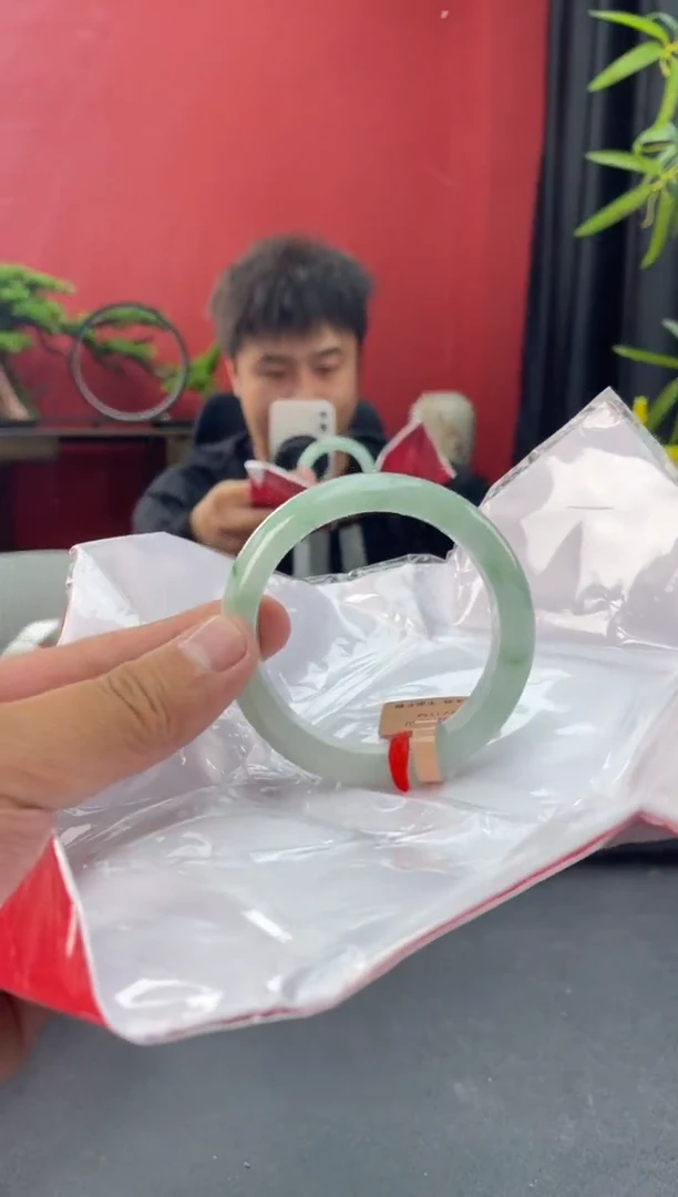未镶嵌手镯翡翠9