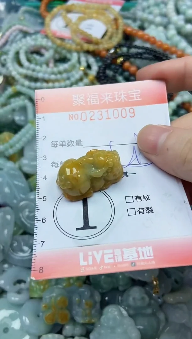 颈饰未镶嵌翡翠闪购0231009