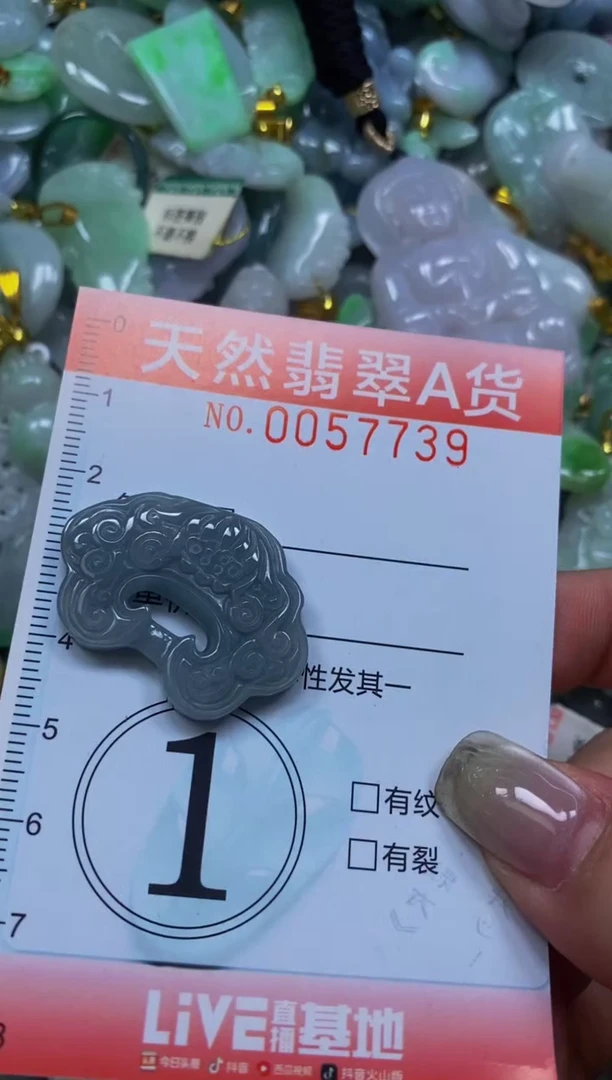 翡翠未镶嵌颈饰0057739