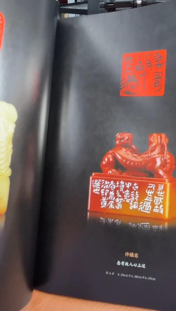 【闪购商品】拓片用纸其他sj心声BP04008作品集带题字