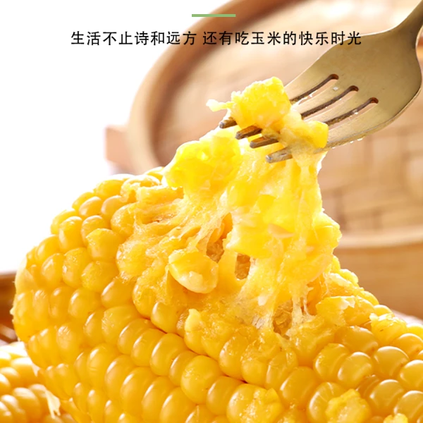 试吃两支 东北黄糯玉米真空包装 10支F