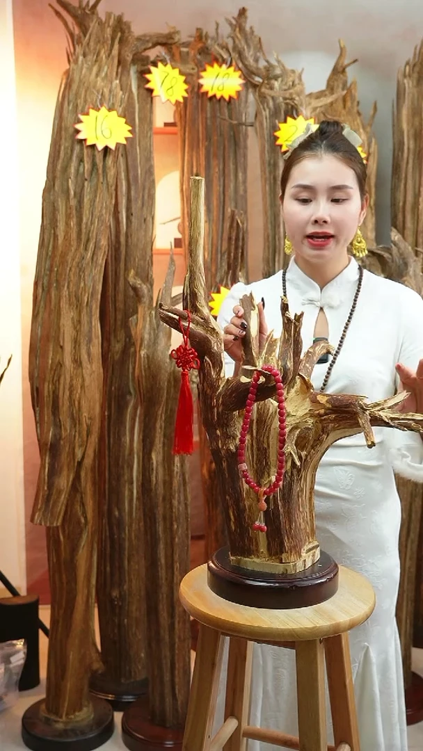 沉香沉香碎屑沉香原料08