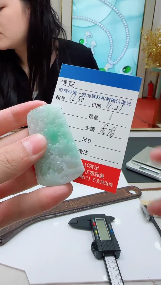 未镶嵌定制翡翠LL50翡翠吊坠-多样性发其一