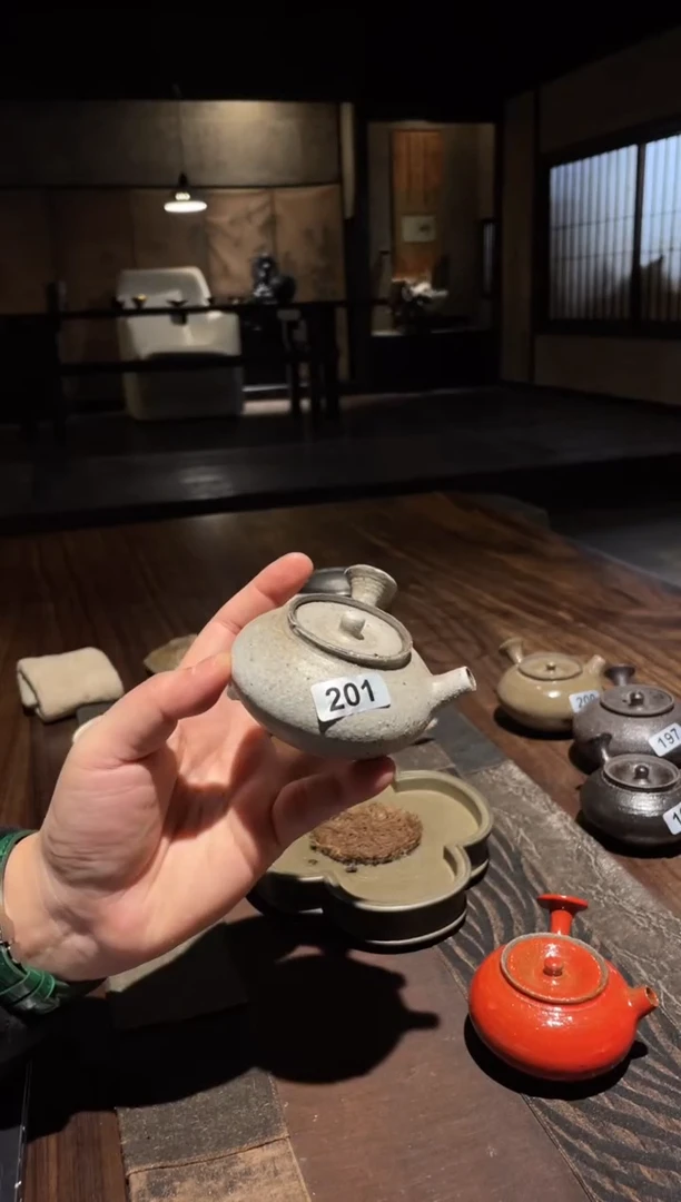 【闪购商品】0侧把壶............201