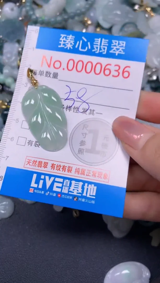 【闪购商品】翡翠颈饰未镶嵌含绳000636