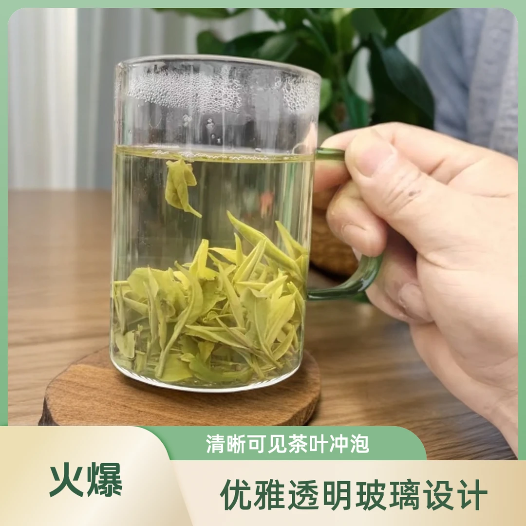 明前含山高山绿茶一芽一叶口粮价格毛尖绿茶