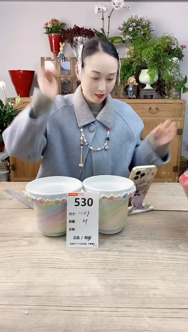 小玩子花盆直播编号530