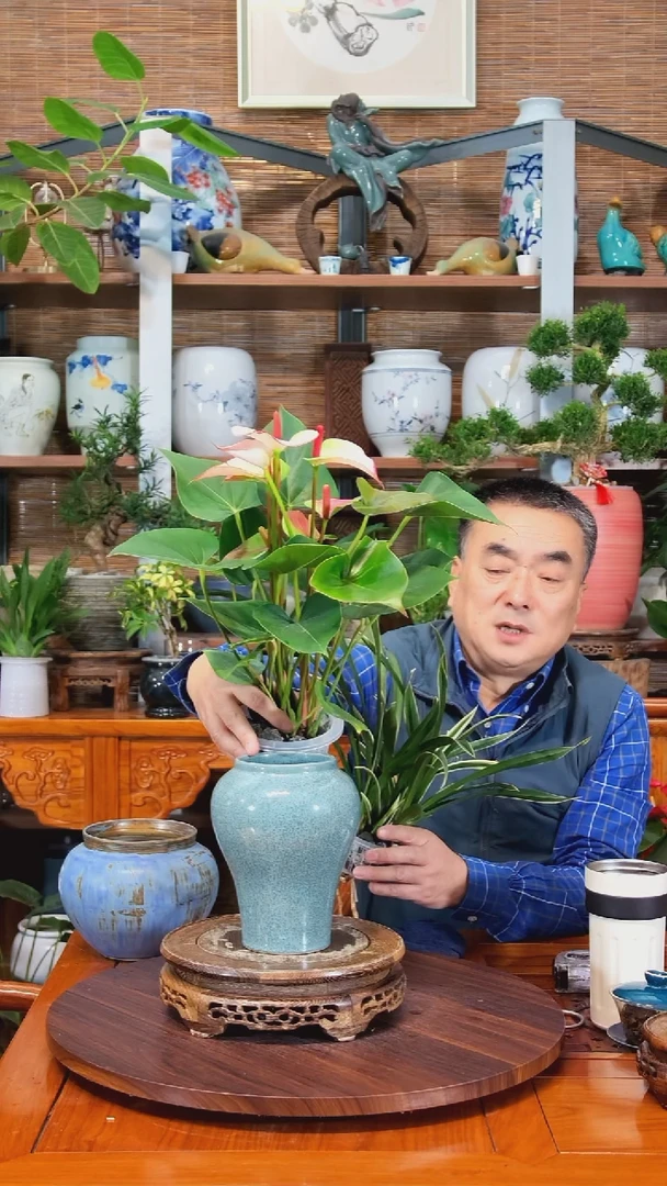 无花朵石*水之韵水培红唇