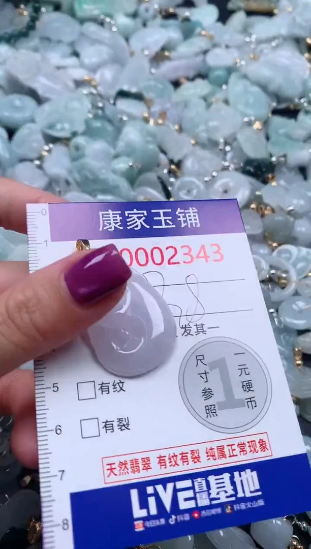 颈饰未镶嵌翡翠2343