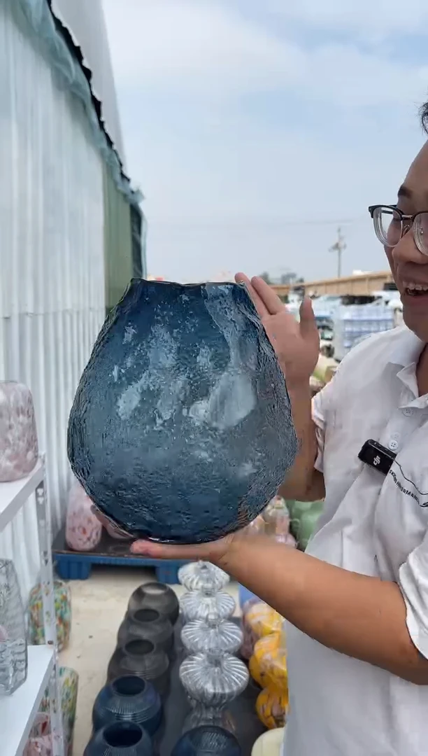 玻璃花瓶用于客厅桌面插花装饰