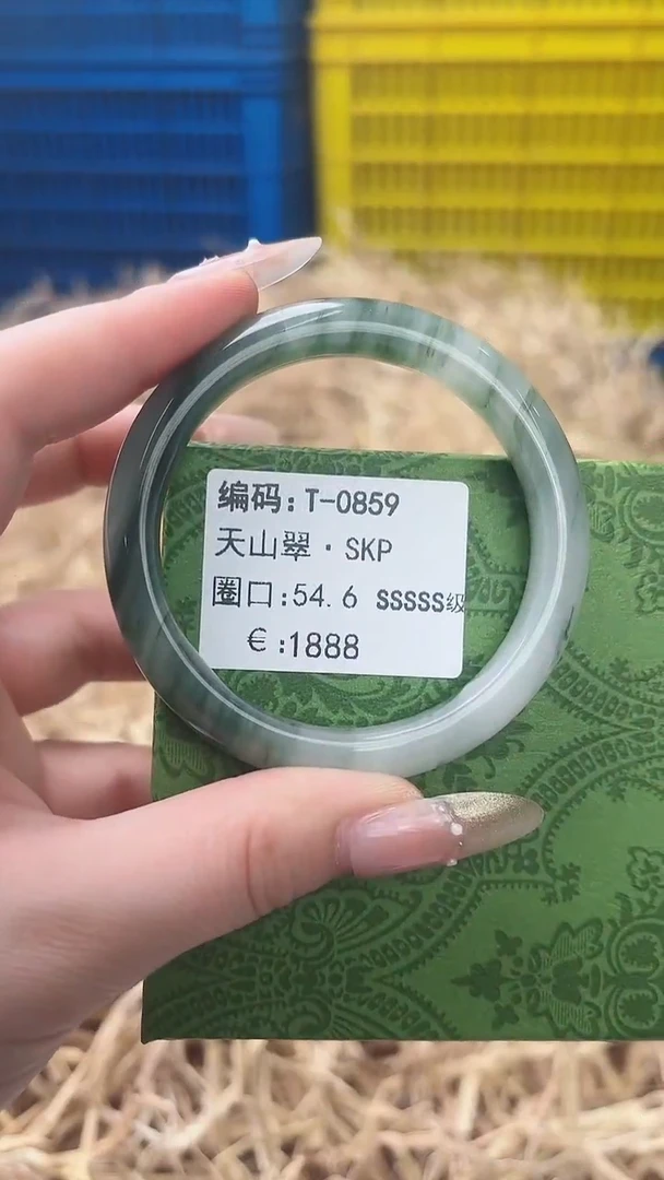 未镶嵌手镯石英质玉T-0859