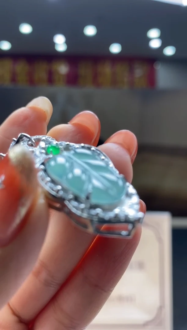 【闪购商品】翡翠颈饰未镶嵌********q18