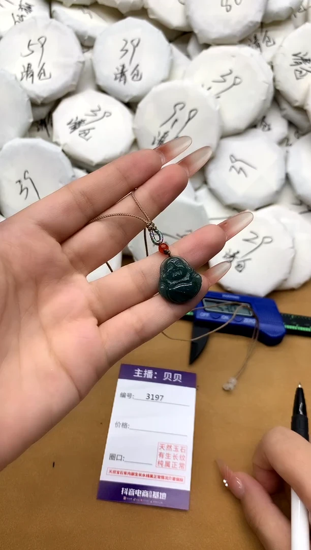 翡翠未镶嵌吊坠(赠链)3197