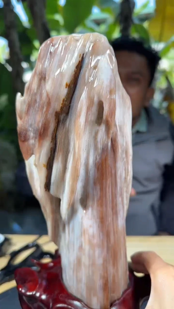 【闪购商品】硅化玉珠宝奇石未镶嵌拍一发一