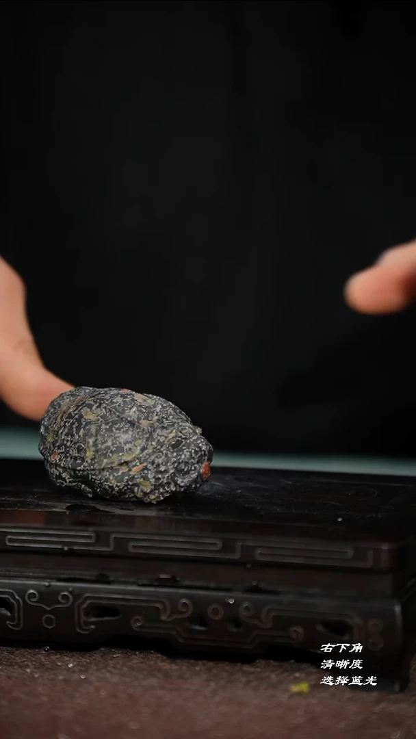 253-1龙龟茶宠（安山）