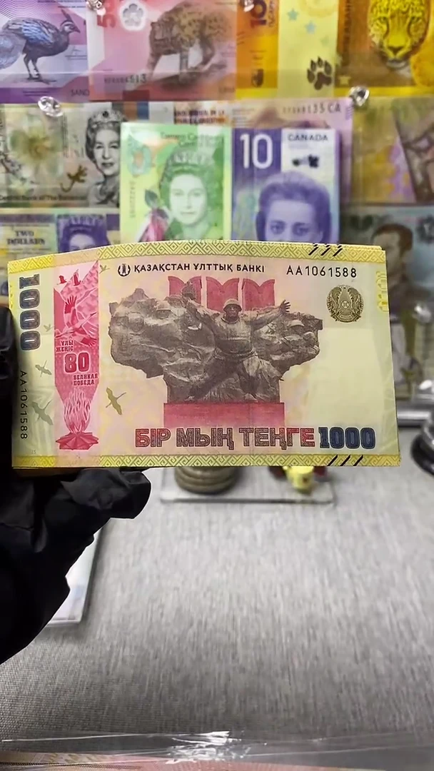 纸币与**舞哈萨克1000尾88