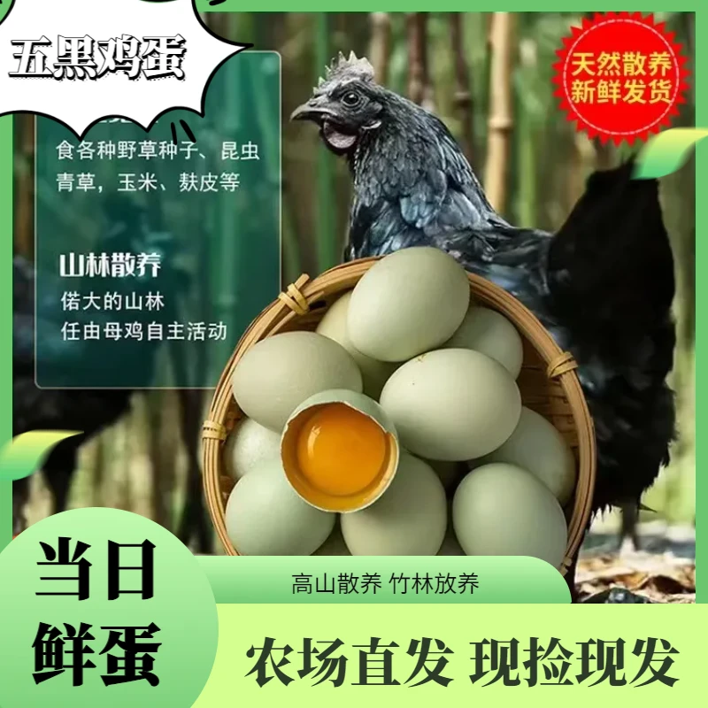 【顺丰】绿壳蛋乌鸡蛋正宗青壳鸡蛋土鸡蛋新鲜农家散养蛋当蛋野山鸡