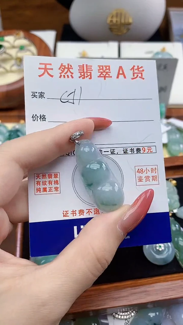 颈饰未镶嵌翡翠天然A货翡翠挂件