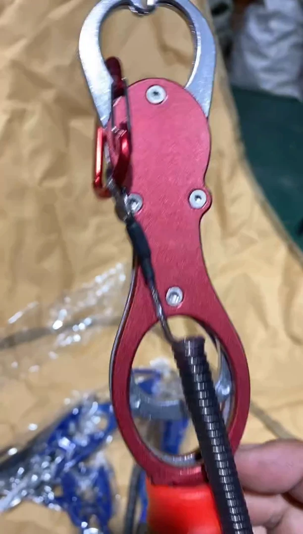 控鱼器+路亚前....