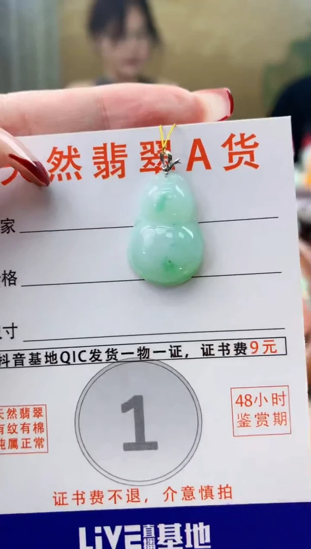 颈饰未镶嵌翡翠天然A货翡翠挂件