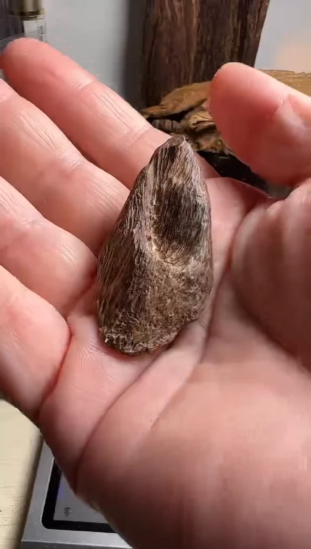 沉香沉香碎屑鐘**宴马泥涝沉水料2.6克