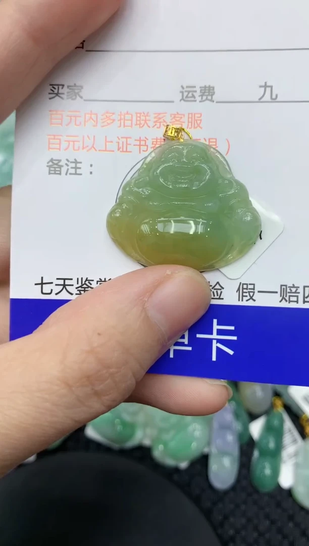 【闪购商品】翡翠颈饰18K金镶嵌11111111