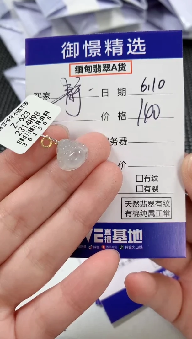 翡翠18K金镶嵌颈饰66