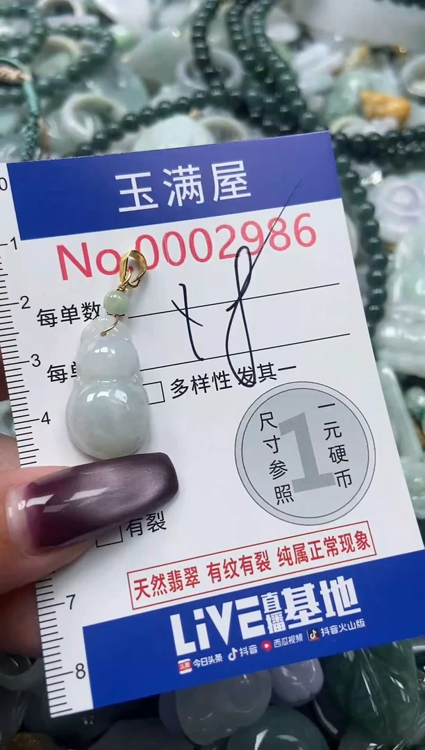 颈饰未镶嵌翡翠2986