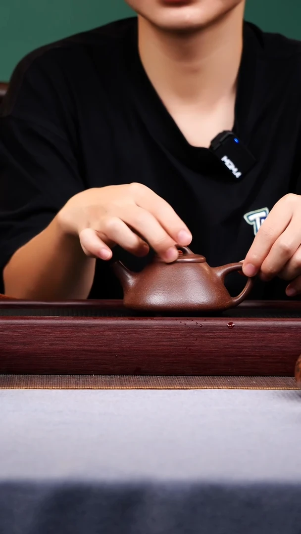 茶壶紫砂宜兴原矿紫砂作品
