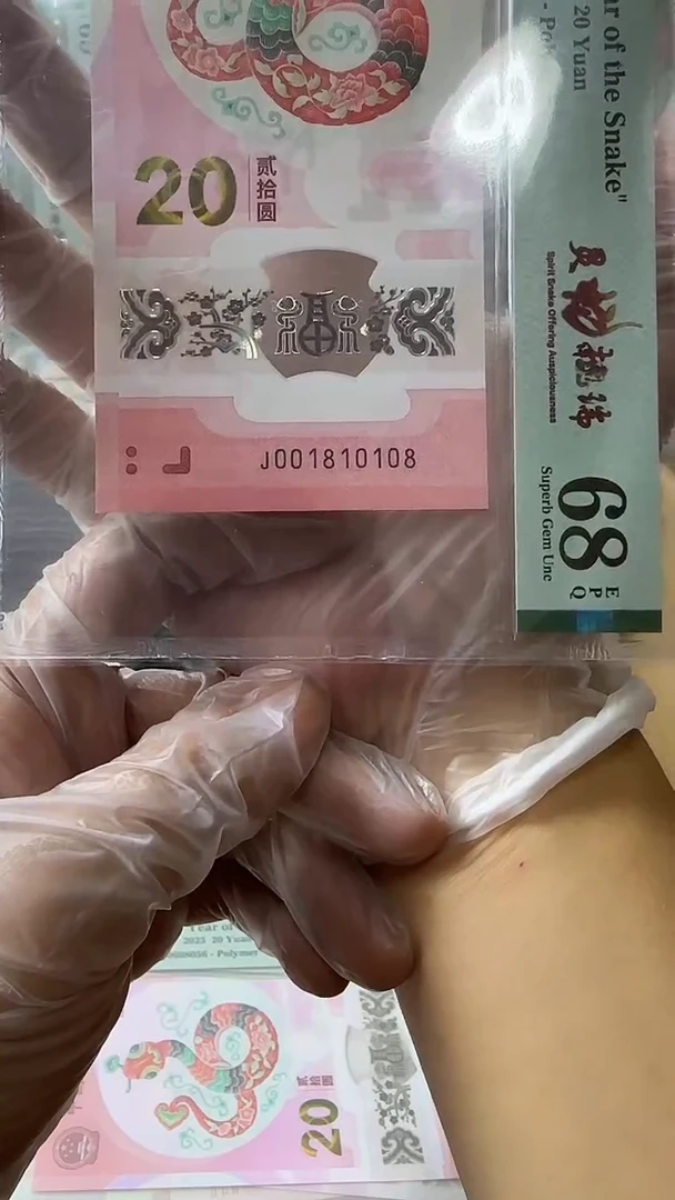 塑料001810108-蛇钞单张