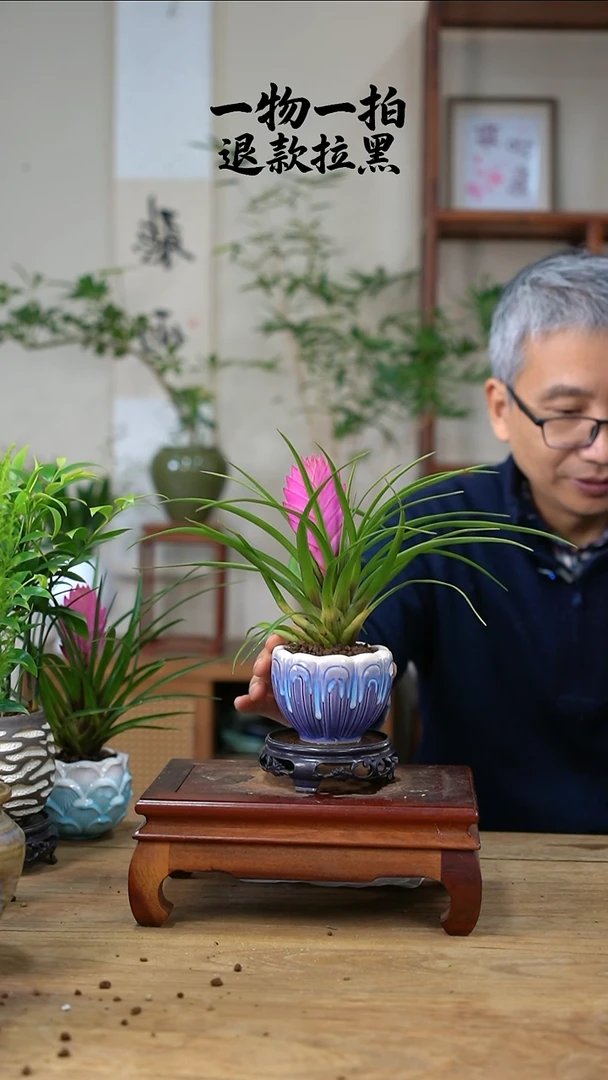 完全开放搬****闹铁兰37