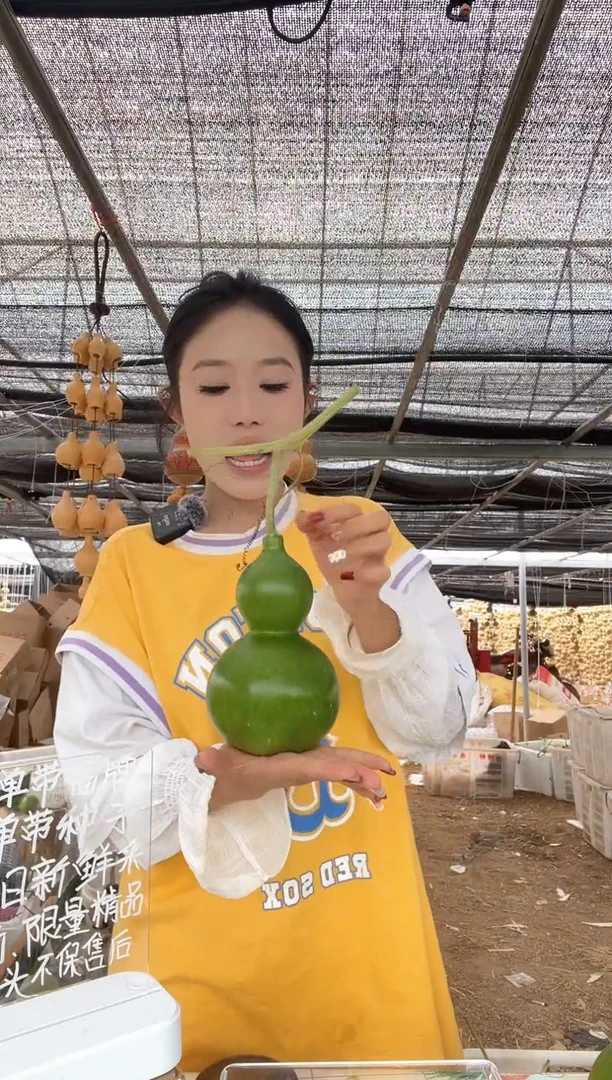 808天然葫芦摆件 一物一拍龙头不保售后